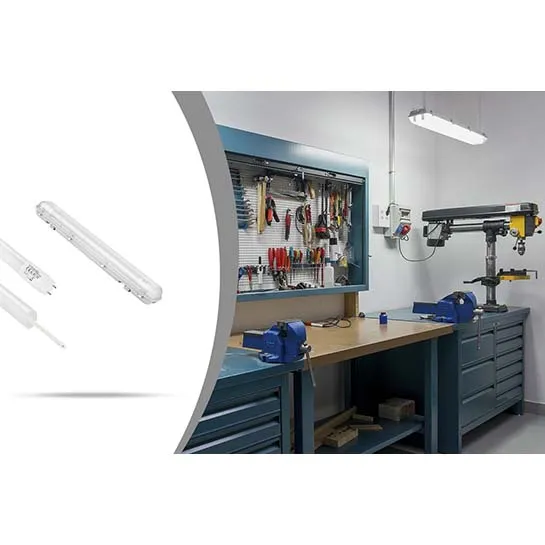 LED LOVERS – LED TLVERLICHTING A+