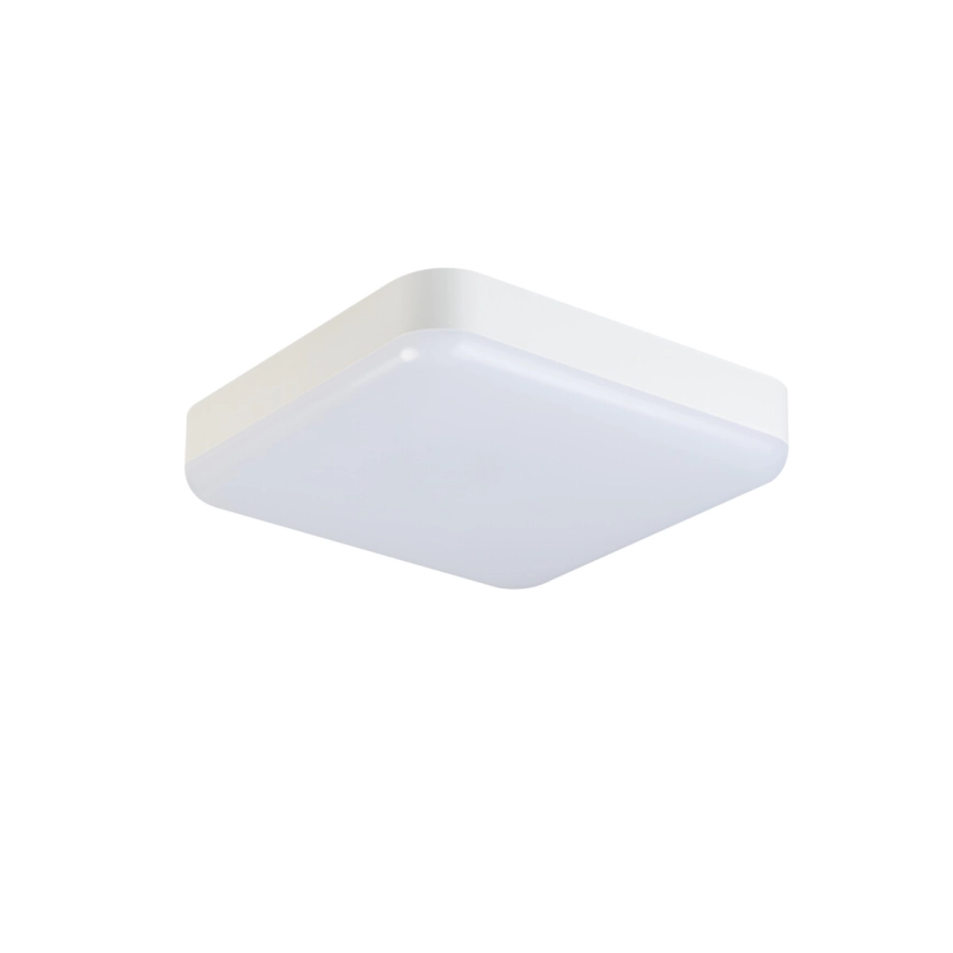 LED Werkverlichting plafond IPER LED/26W/230V IK10 IP65 hoekig wit